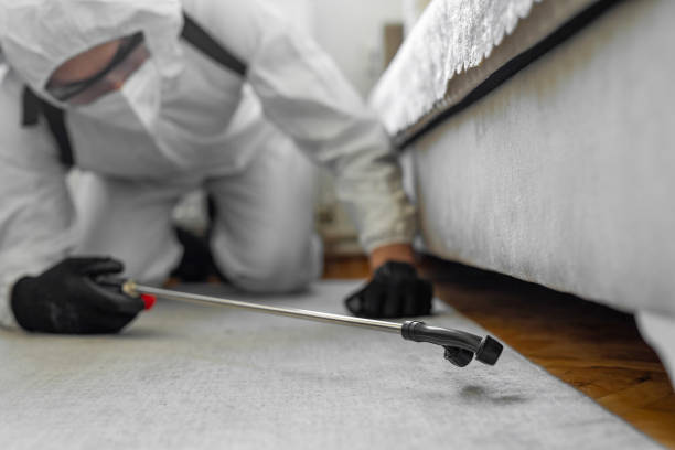 Professional Bed Bug Control technician working in Jefferson Davis Parish County, LA